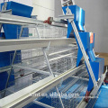 Innovation farm high quality chicken cage automation chicken equipment